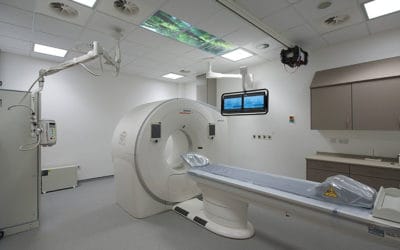 The long road to diagnosis – Part 3